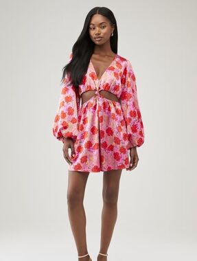 Show Me Your Mumu Christina Dress In Smooch